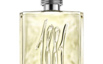 À quel type d’homme s’adresse la fragrance Cerruti Homme ?