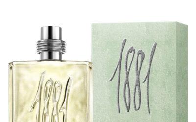 Quelles sont les caractéristiques principales du parfum Cerruti Homme ?